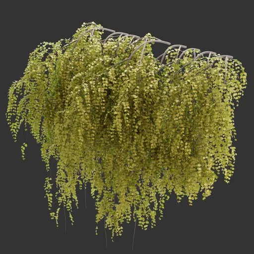 Wall Hanging Autumn Plant