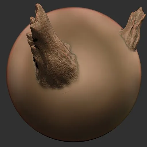 ER Wood Brush 08