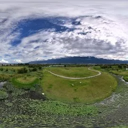 Forest green grass cloud