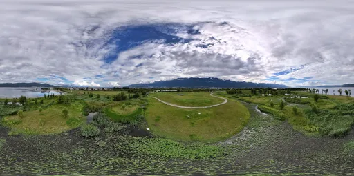 Forest green grass cloud