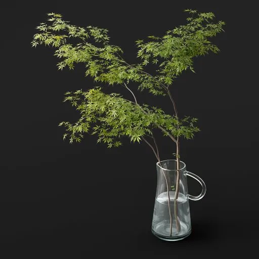 Maple Branch