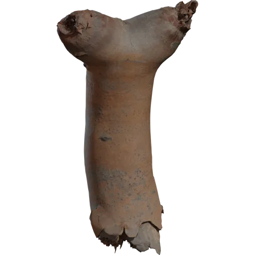 Dead Quiver Branch 02