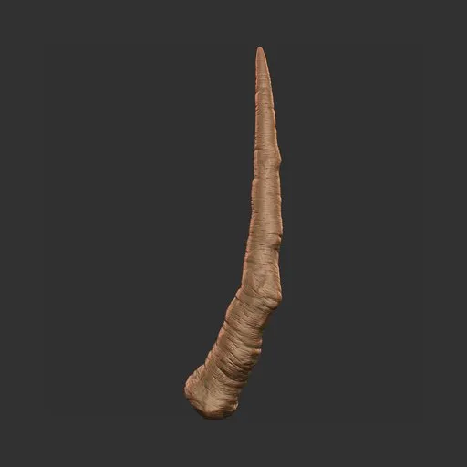 Needle Horn