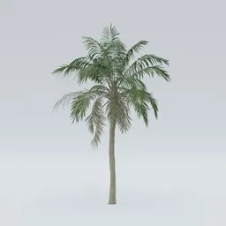 Highly detailed Palm V3 3D model, ideal for Blender renderings and CG projects.
