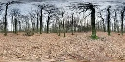 Benther Berg Overcast Day