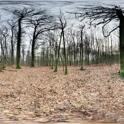 Benther Berg Overcast Day