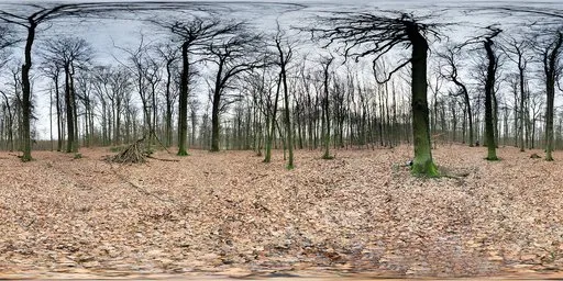 Benther Berg Overcast Day