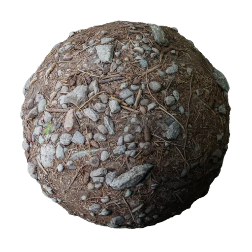 Rocky Forest Ground