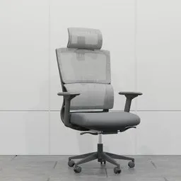 Modern Ergonomic Office Chair