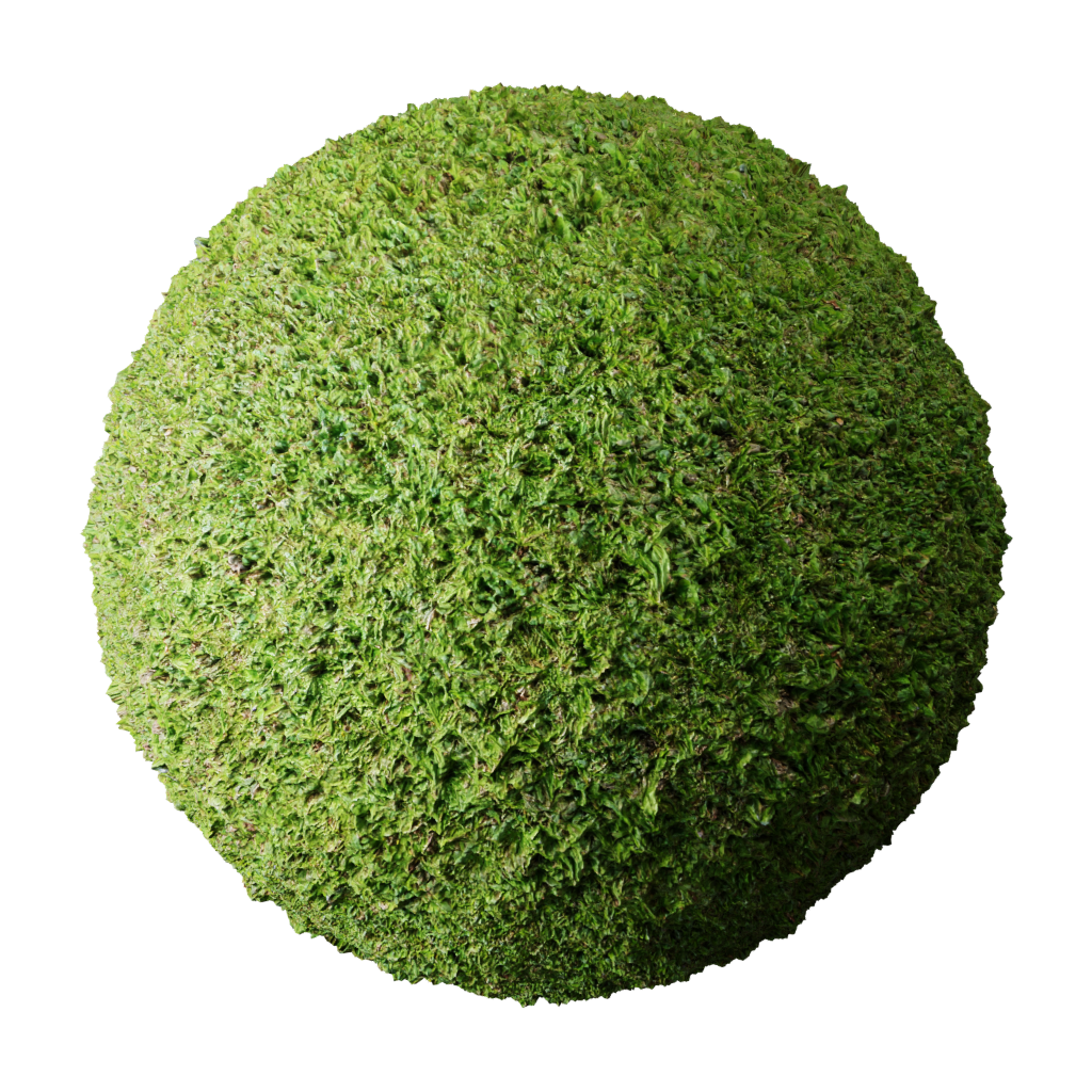 blenderkit-download-the-free-rough-grass-material