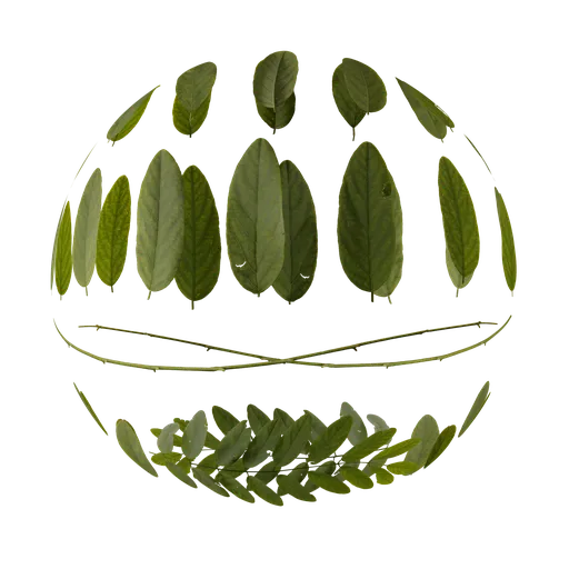 4K high-detail green plant leaves atlas texture for Blender 3D, ideal for realistic organic PBR material creation.