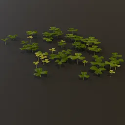 Grass Clover Grownd Cover Small