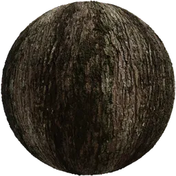 Jolcham Oak Bark