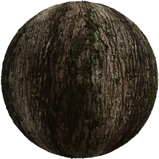 Jolcham Oak Bark