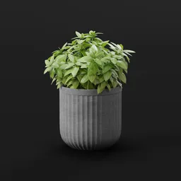 Modern Green Shrub Pot