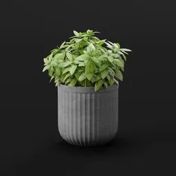 Modern Green Shrub Pot