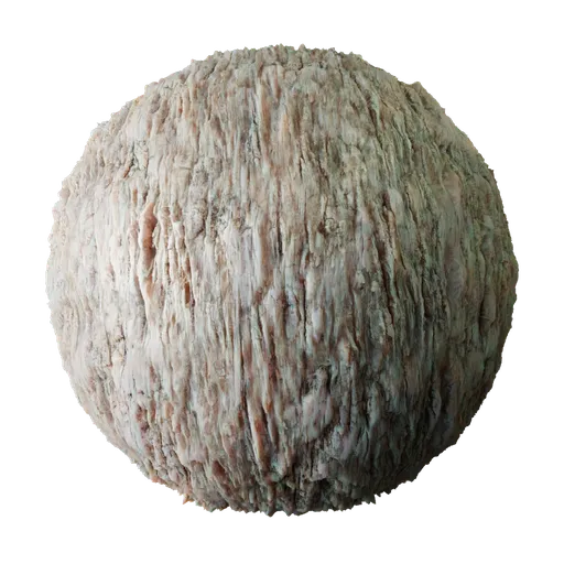Tree Bark