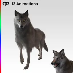 Brown Wolf Animated