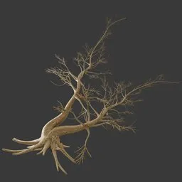 Dry Leaning Tree