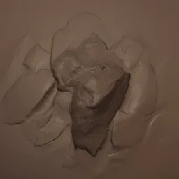 Rock Rugged Brush s3025 3