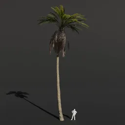 Palm Tree Large Tall
