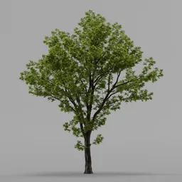 Tree_Lib1