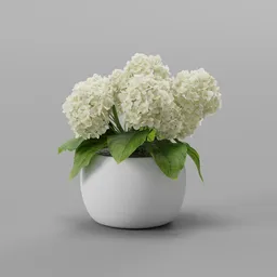 Hydrangea Pot
