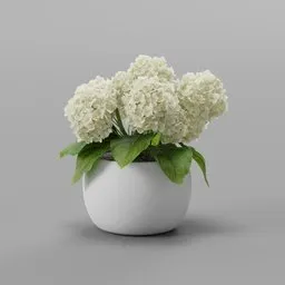 Hydrangea Pot