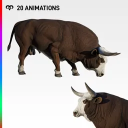 Bull 3 Animated