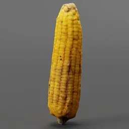 Realistic low-poly 3D model of a corn cob optimized for Blender rendering.
