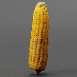 "Lowpoly 3D scanned Corn model for Blender 3D - perfect for food category renders. Includes stalk and rotten textures. Created by Afewerk Tekle using Blender 3D software."