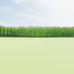 High-detail green tree line 3D model on a plane for Blender, ideal for environmental backdrops.