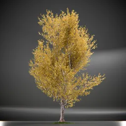 Tree Princeton Sentry Animated