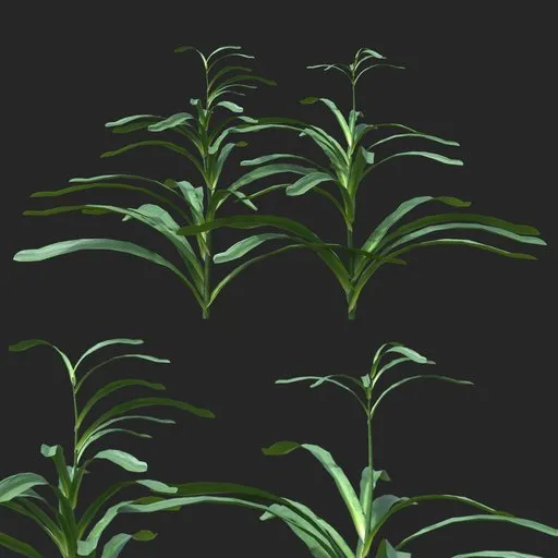 Dense Green Leafy Simple Plant