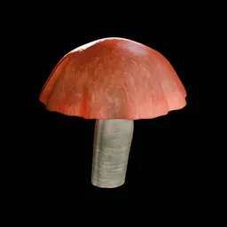 Mushrooms