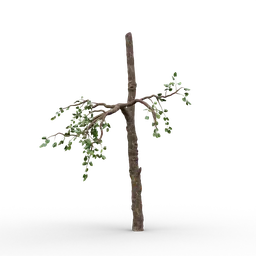 "High quality 3D model of an old tree with few branches, created with Blender 3D software. Perfect for adding realism to your virtual environments and landscapes. Includes oak leaves and wooden staff for added detail."