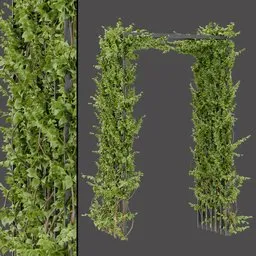 Metal Ivy Archway