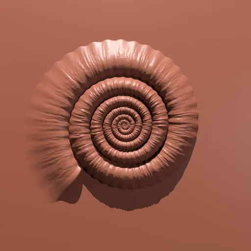 Detailed spiral shell imprint for 3D modeling with Blender, suitable for character and architectural designs.