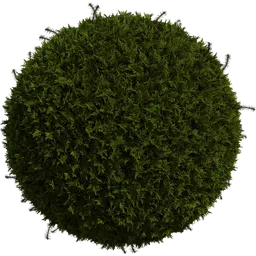 Realistic 3D moss sphere model, detailed green textures, suitable for Blender outdoor scenes.