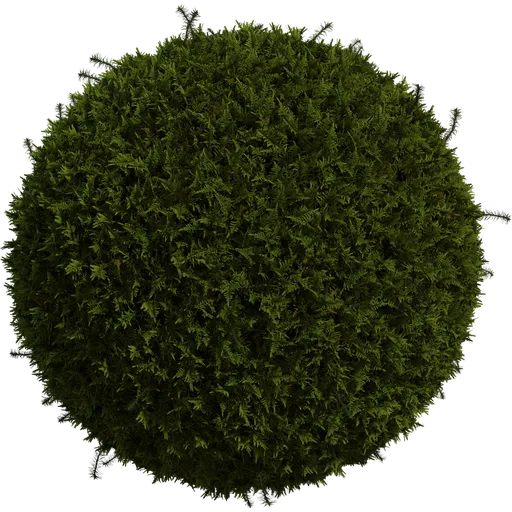Moss 01