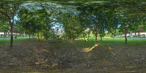Daytime forest
