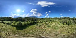 Highsky forest green