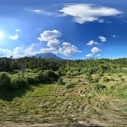 Highsky forest green