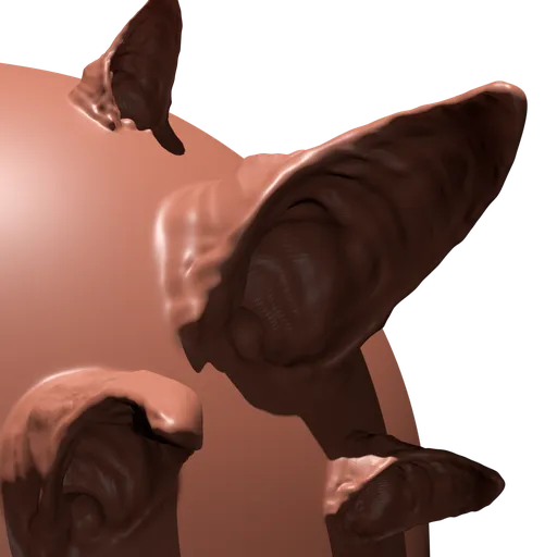 Cat's Ear