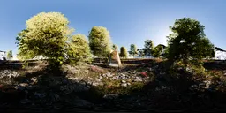 Garden Trees Sunlit 16K HDRi