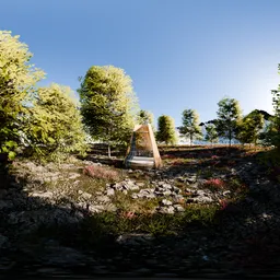 Garden Trees Sunlit 16K HDRi