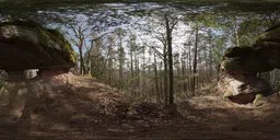 360-degree forest panorama for realistic lighting and rendering, with detailed sky and terrain textures.