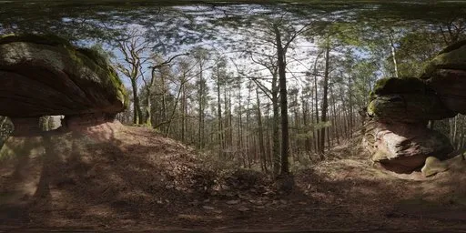 Pfälzer Forest 01