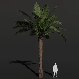 Tree Fern Large Sparse