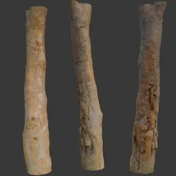 Log scan